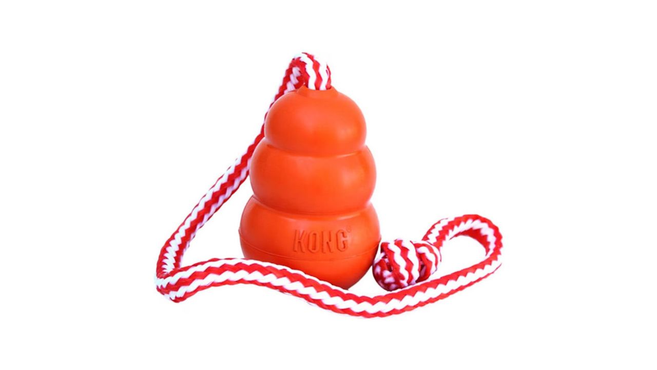 kong-aqua-dog-toy-product-card-cnnu.jpg