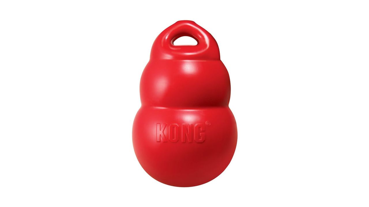 kong-bounzer-dog-toy-product-card-cnnu.jpg