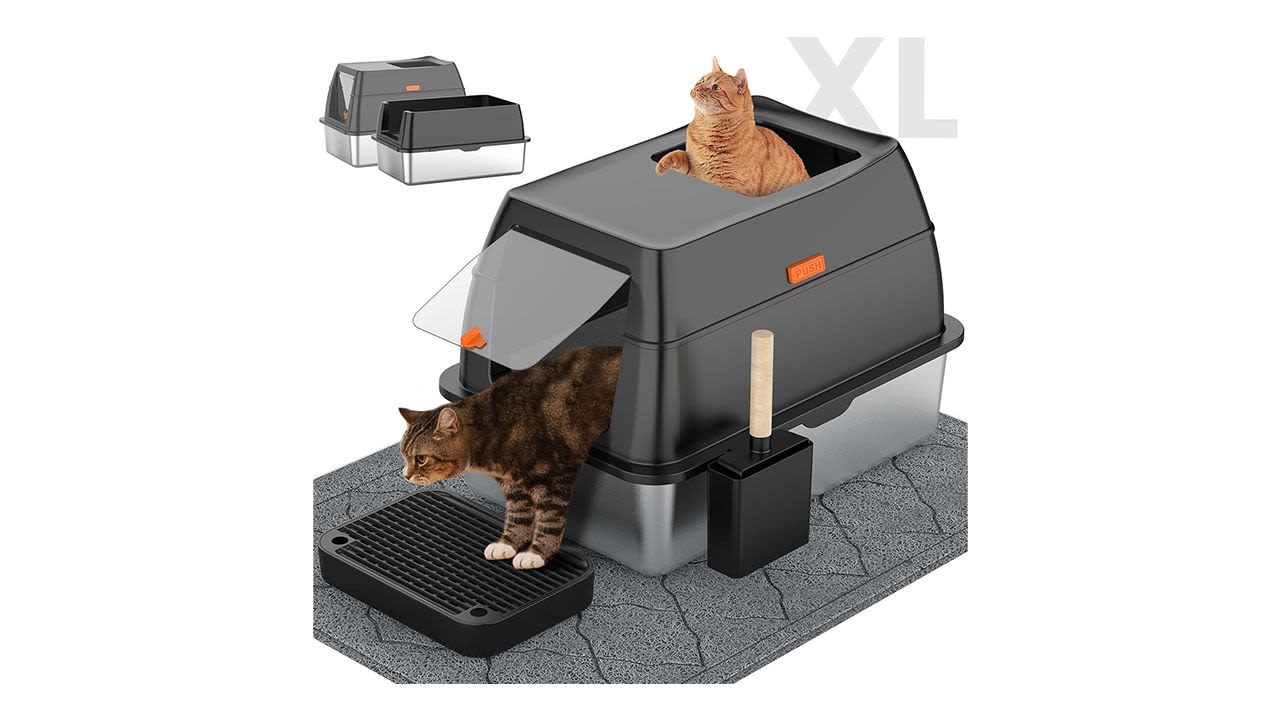 lobeve-litter-box.jpg