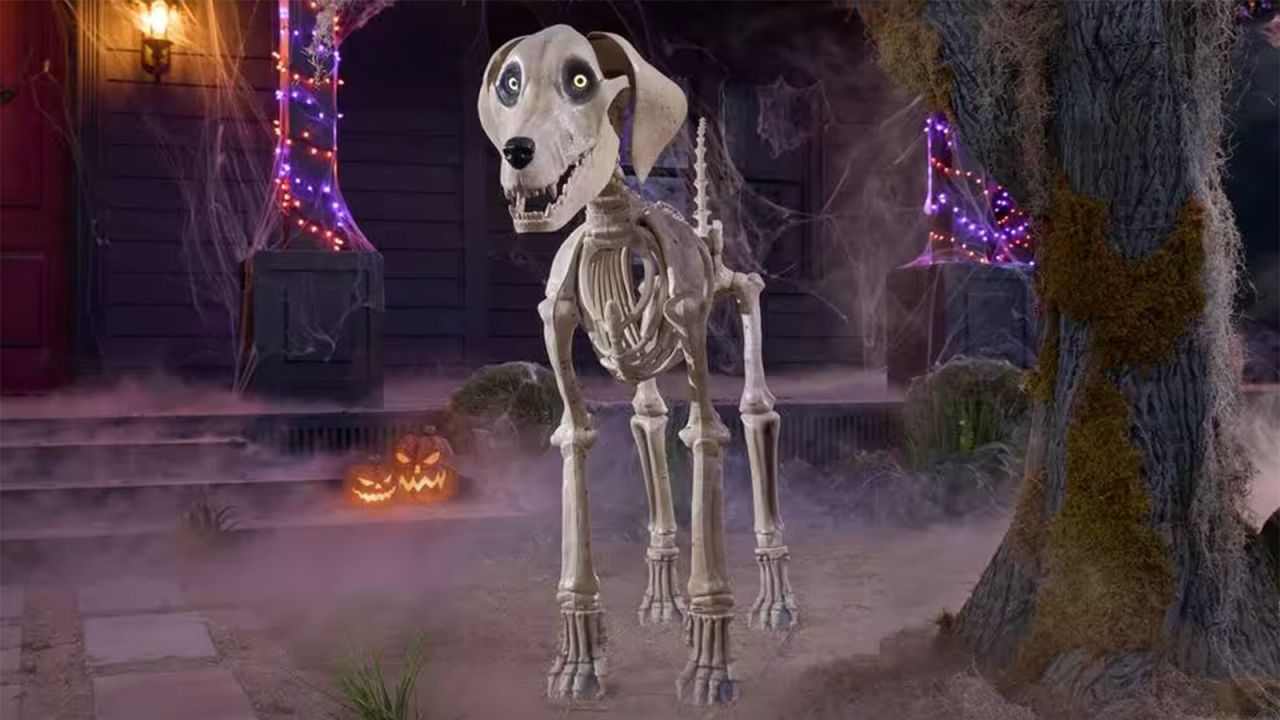 skelly-dog.jpg