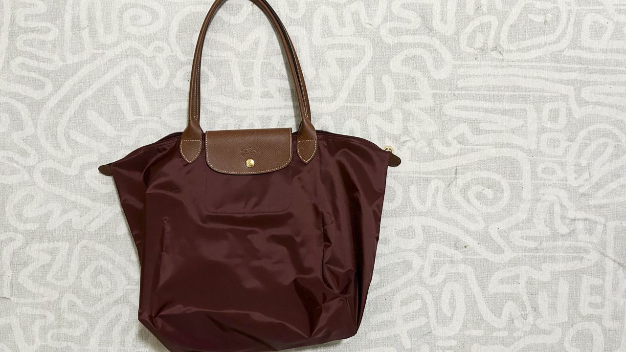 tamara-longchamp-bag.jpg