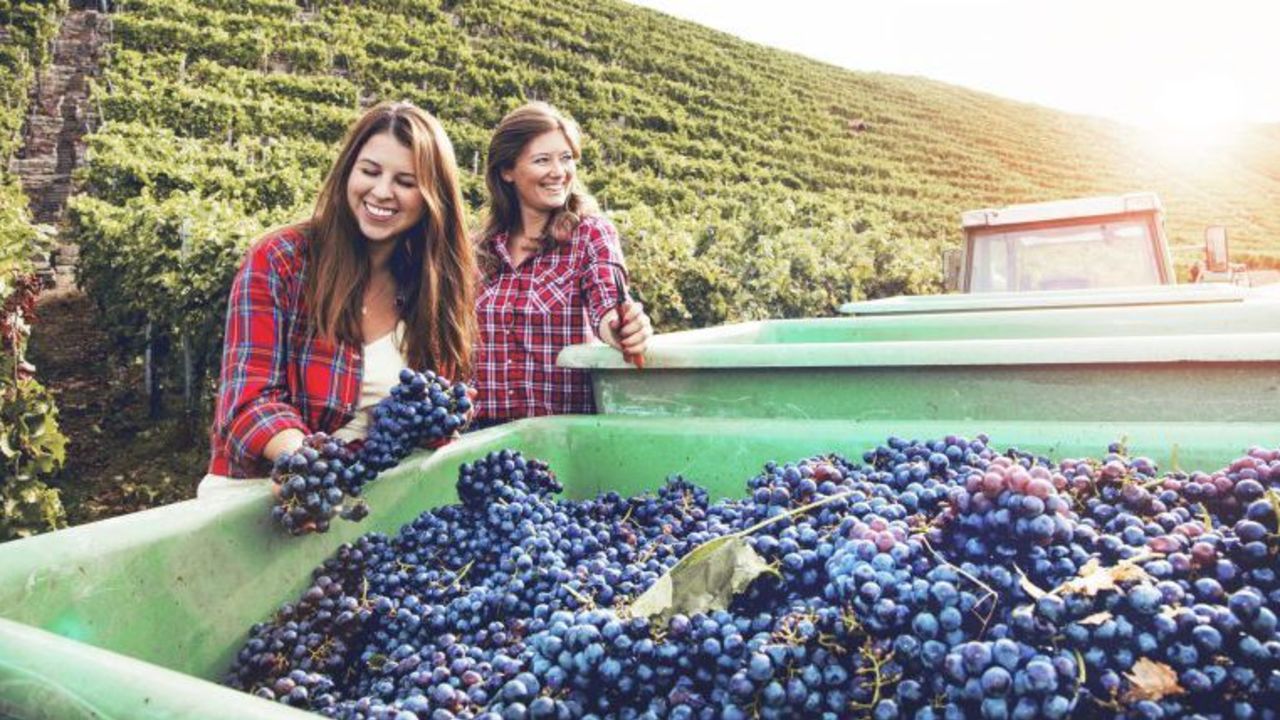 woman-owned-wineries-cnnu.jpg