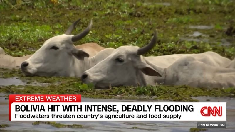 Bolivia floods kill at least 55 people, affect 590,000 families