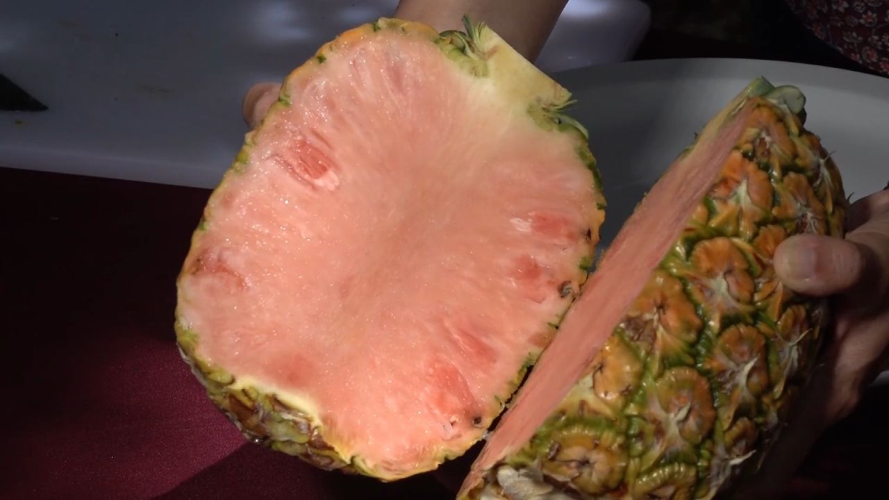 clipped thumbnail - - CNN ID 20706576 - 00:00:20;10