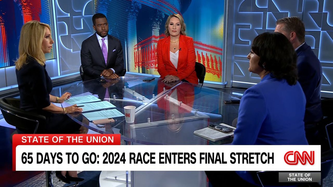 clipped thumbnail - panel full - CNN ID 20923031 - 00:07:21;01