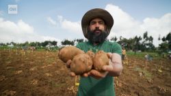 <p>Crop breeding is an age-old science used to make our crops more productive, resilient and nutritious, but it can be a long, slow process. A company in North Carolina is using generative AI to accelerate the adaptation of crops to climate change.</p>