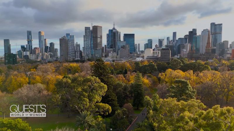 A cidade australiana que se tornou uma potência global de comida e bebida - jili slot