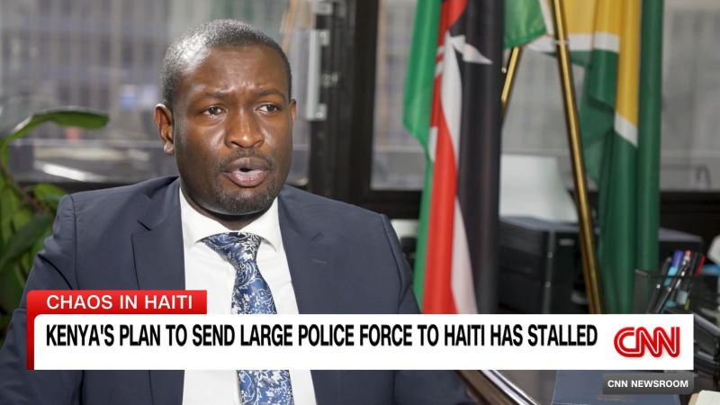 Кенийската полиция може да бъде изпратена в Хаити, за да потуши груповото насилие. Някои кенийци са остро против