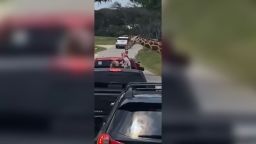 <p>A family visiting Fossil Rim Wildlife Center in Glen Rose, Texas, describes the moment a giraffe lifted their toddler out of their truck by the child’s shirt. Isabella Quintanilla at CNN affiliate station KWTX reports. </p>