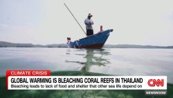 <p>As the atmosphere continues to heat up, so do the world's oceans, causing coral reefs to bleach; that's affecting fishermen who rely on marine life as CNN's Lynda Kinkade reports.</p>