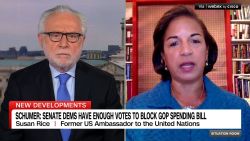 <p>Former Amb. Susan Rice calls the GOP government funding bill "crazy" and tells Wolf Blitzer that Democrats should not "roll over and play dead."</p>