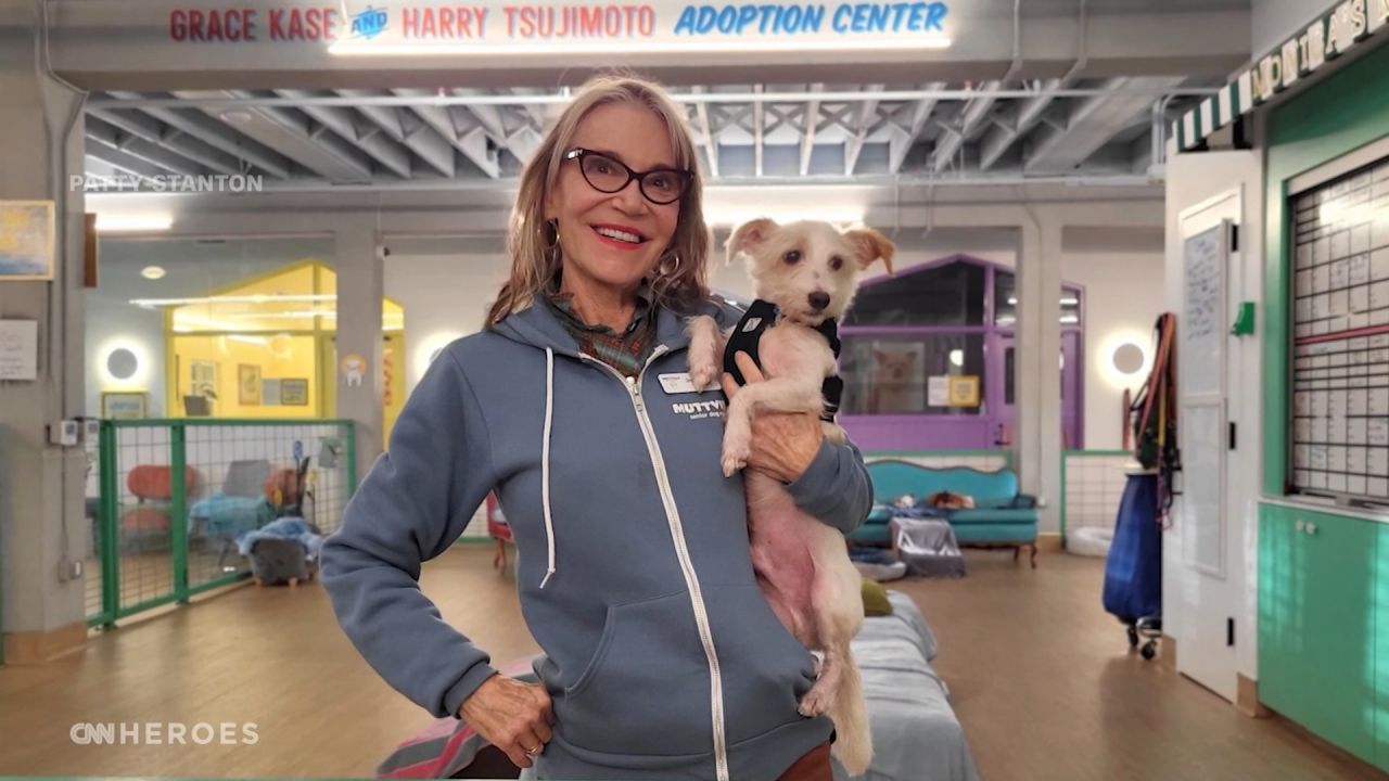 <p>2016 CNN Hero Sherri Franklin is dedicated to saving older dogs from shelters and helping them find loving forever homes. She has expanded her nonprofit, <a href="index.php?page=&url=https%3A%2F%2Fmuttville.org%2F" target="_blank">Muttville</a>, in big ways since her recognition.</p>