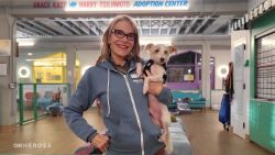 <p>2016 CNN Hero Sherri Franklin is dedicated to saving older dogs from shelters and helping them find loving forever homes. She has expanded her nonprofit, <a href="index.php?page=&url=https%3A%2F%2Fmuttville.org%2F" target="_blank">Muttville</a>, in big ways since her recognition.</p>