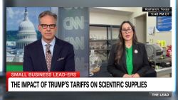 <p>Paula Dayal joins The Lead</p>