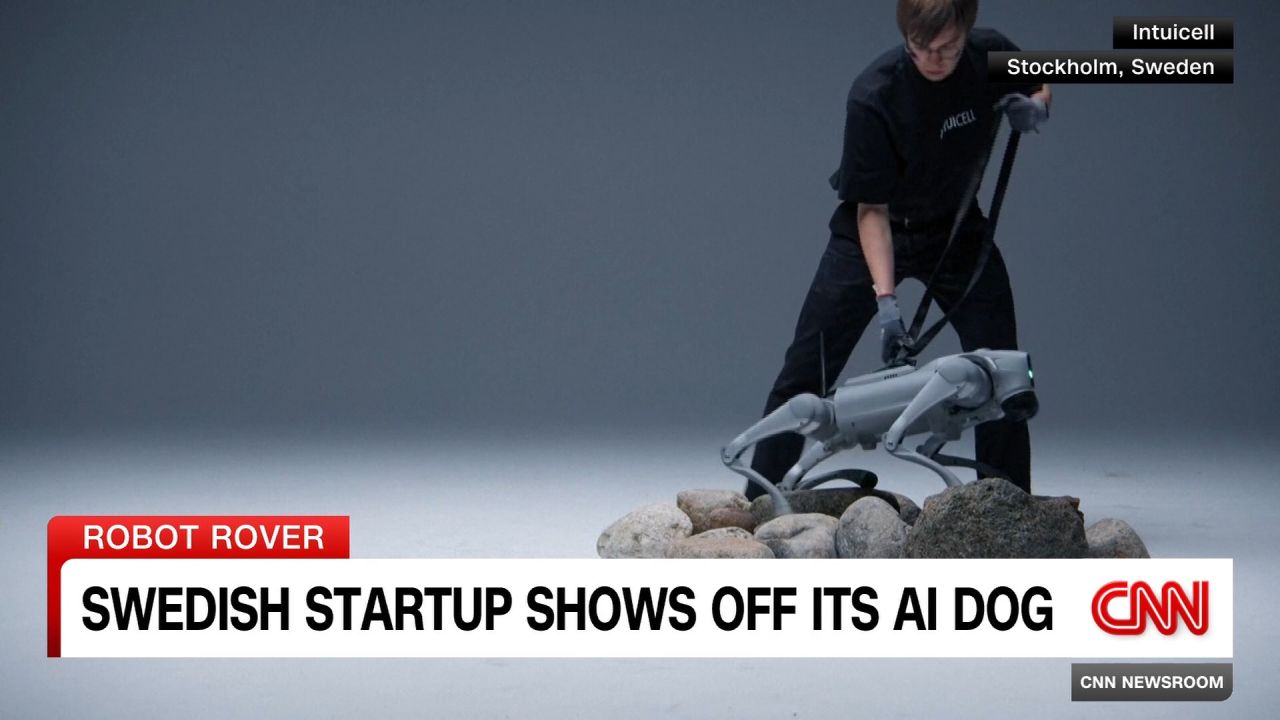 <p>Man's best friend is getting an AI upgrade. CNN's Anna Stewart reports on a Swedish company that's using technology to teach a new dog old tricks. </p>