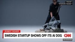 <p>Man's best friend is getting an AI upgrade. CNN's Anna Stewart reports on a Swedish company that's using technology to teach a new dog old tricks. </p>