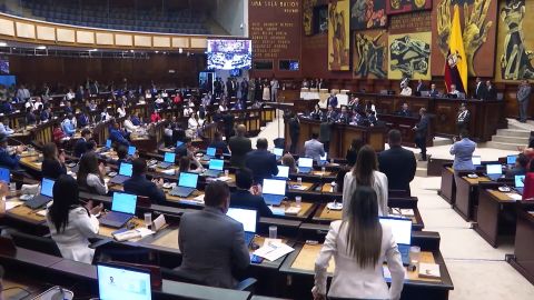 <p>Se instaló la nueva Asamblea Nacional de <a href="/latinoamerica/ecuador">Ecuador</a> este miércoles, pocos días antes de que asuma <a href="/2025/04/15/latinoamerica/ecuador-noboa-espera-ayuda-eeuu-combatir-criminalidad-orix">Daniel Noboa como presidente</a> para un periodo de cuatro años. El oficialismo logró sumar apoyos necesarios para liderar el legislativo y Niels Olsen, del movimiento ADN, es el nuevo presidente de este poder. Ana María Cañizares nos cuenta cómo se midieron las fuerzas políticas en esta sesión inaugural.</p>