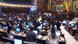 <p>Se instaló la nueva Asamblea Nacional de <a href="/latinoamerica/ecuador">Ecuador</a> este miércoles, pocos días antes de que asuma <a href="/2025/04/15/latinoamerica/ecuador-noboa-espera-ayuda-eeuu-combatir-criminalidad-orix">Daniel Noboa como presidente</a> para un periodo de cuatro años. El oficialismo logró sumar apoyos necesarios para liderar el legislativo y Niels Olsen, del movimiento ADN, es el nuevo presidente de este poder. Ana María Cañizares nos cuenta cómo se midieron las fuerzas políticas en esta sesión inaugural.</p>