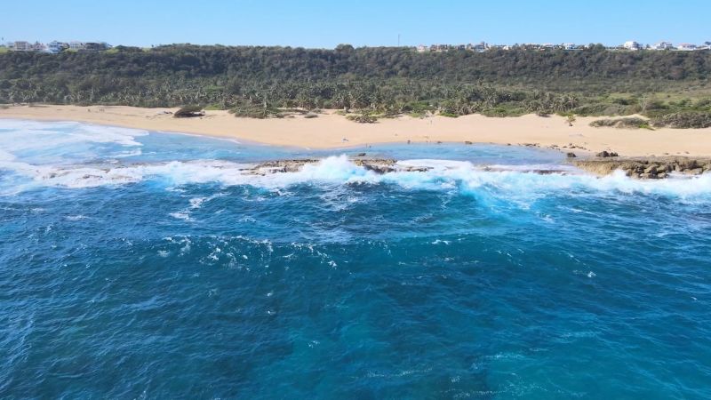 Restoring sand dunes in Puerto Rico