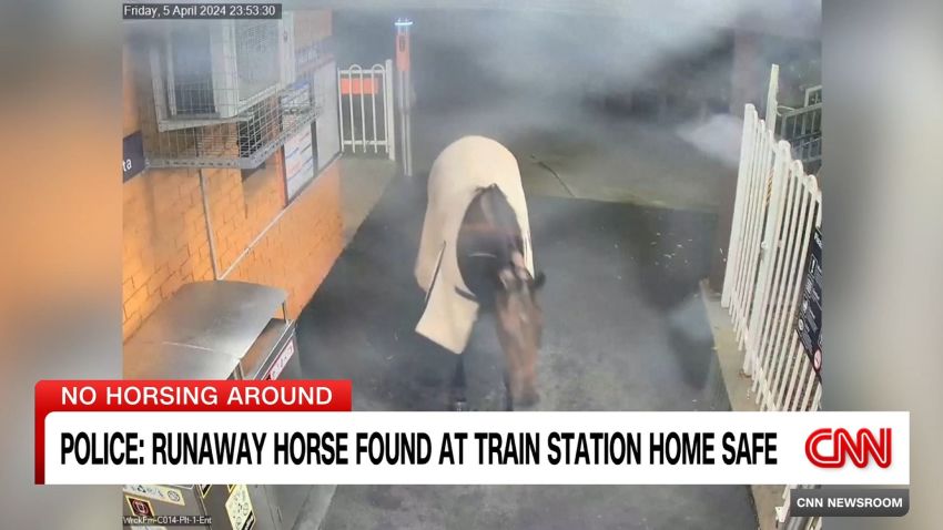 <p>Security footage captures the moment a runaway racehorse made its way onto a train platform in Sydney, Australia, startling some of the passengers waiting there. </p>