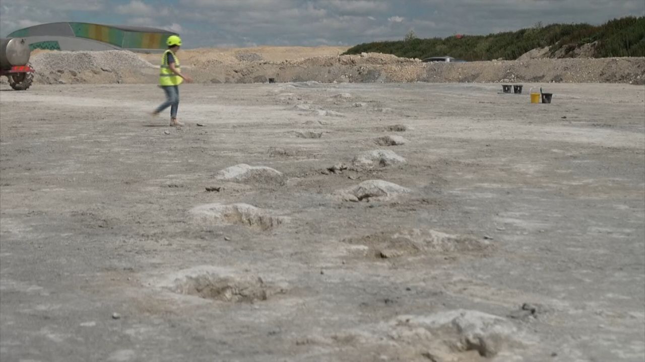 <p>Un equipo de investigadores descubrió en una cantera cientos de huellas de dinosaurios de varias especies de Sauropodos y Megalosaurus de hace 166 millones de años. Las imágenes en el siguiente video.</p>