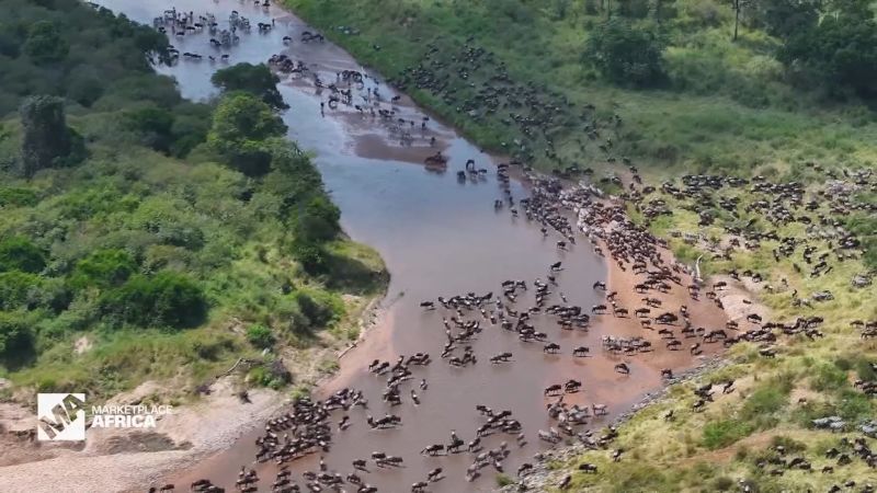 The push to save ‘The Great Migration’ in the Maasai Mara