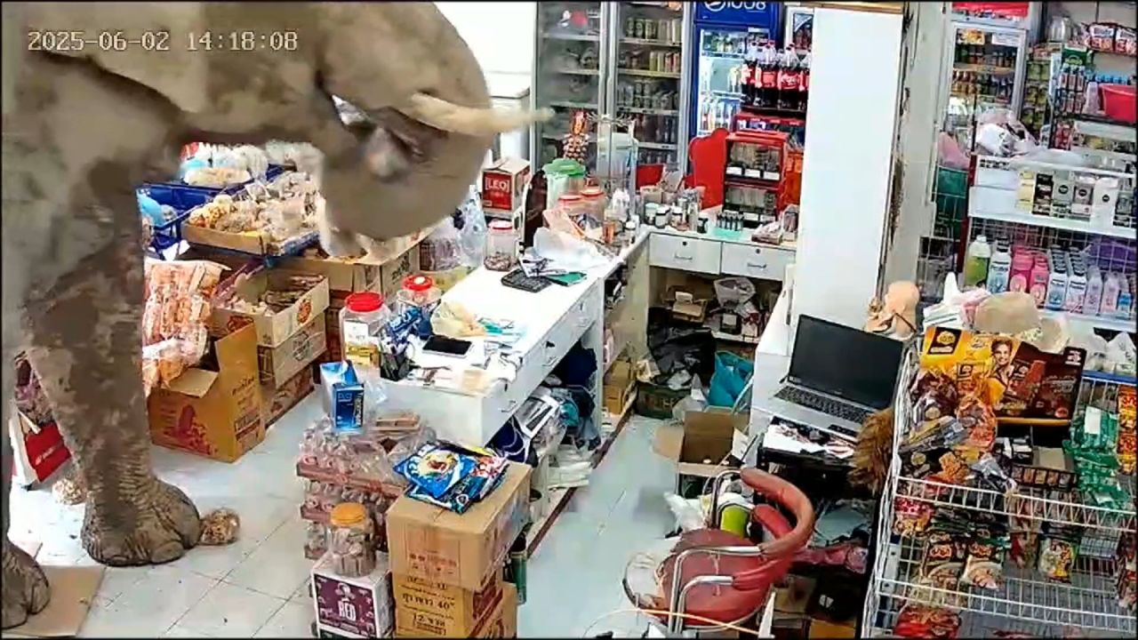 <p>A large wild elephant caught shopkeepers off guard at a convenience store in Thailand on Monday, when it lumbered into the shop in search of food.</p>
