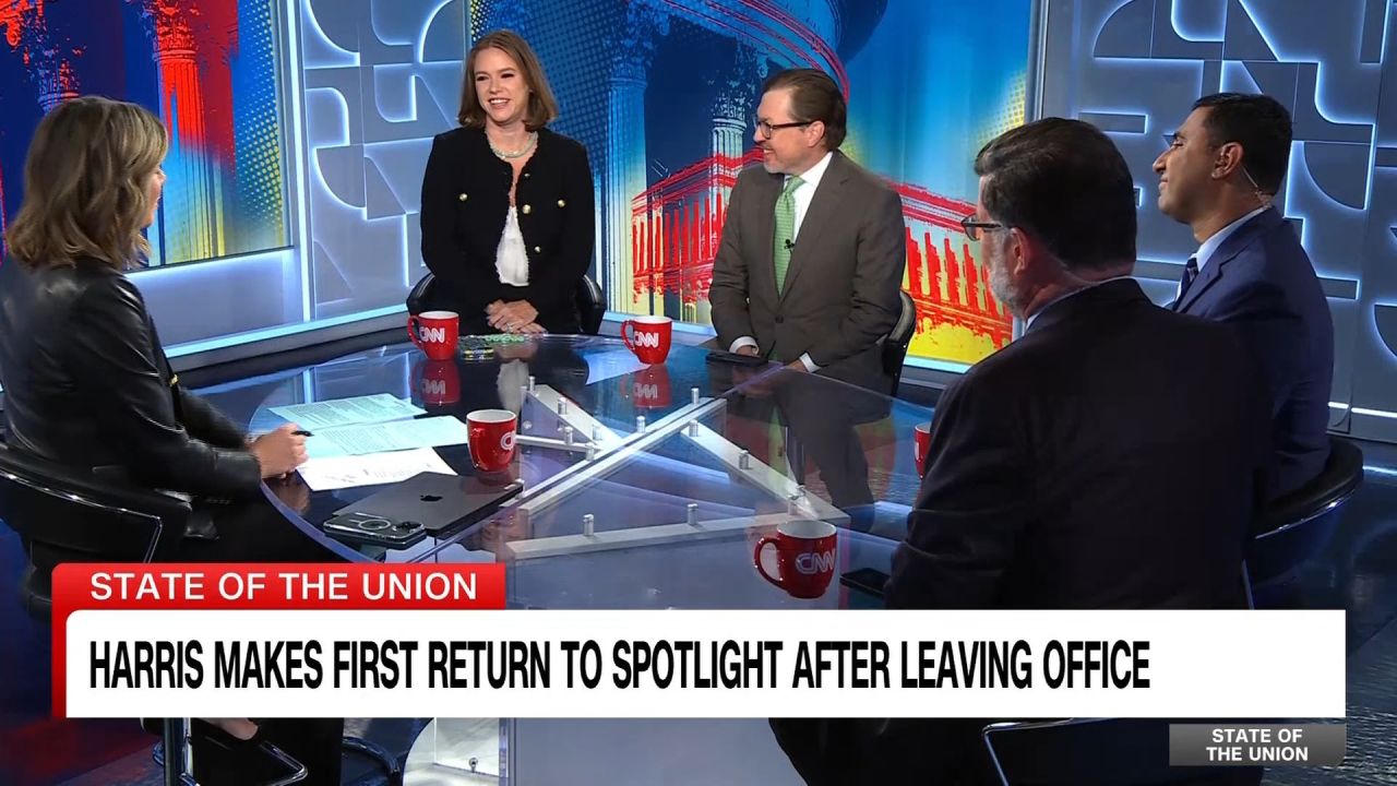 Dem strategist: 2028 presidential hopefuls need to ‘come with something to say’