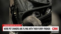 <p>Lynda Kinkade reports on how some airlines are catering to pet owners.</p>