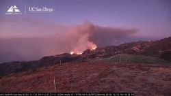 <p>El incendio forestal denominado Franklin Fire se extendió de dos a casi 1.100 hectáreas, arrasando de manera voraz con sus llamas, según reporta la agencia Reuters. Hasta el momento no generó heridos ni víctimas fatales pero, según el jefe de bomberos del condado de Los Ángeles, no logran contener las llamas a pesar de los esfuerzos.</p>