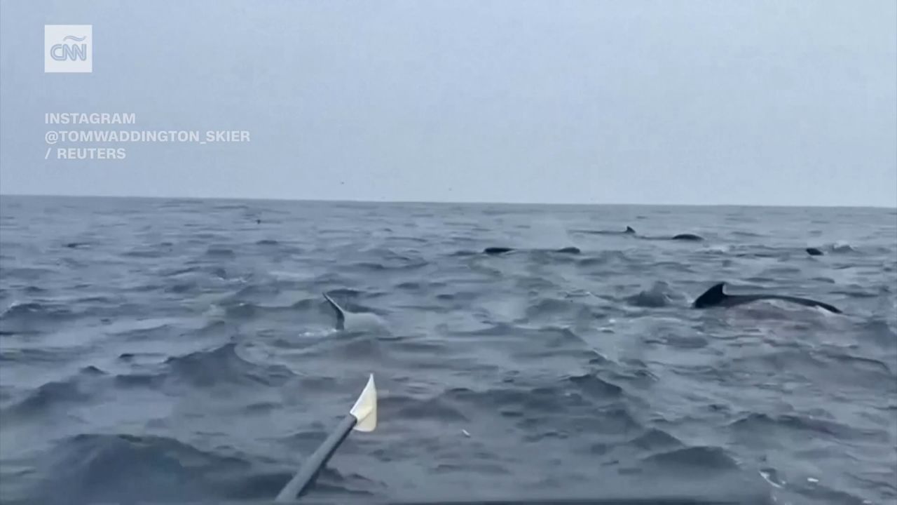 <p>Una manada de ballenas sorprendió al remero Tom Waddington en su paso por el océano Atlántico. Waddington capturó imágenes de la multitud de ballenas mientras lo acompañaron durante su viaje.</p>