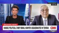 <p>Lebanese Caretaker Foreign Minister Abdallah Bou Habib says different players haven't yet formed a retaliatory response to Israel, but the latest assassinations mark "a very bad day" for peace in the region.</p>