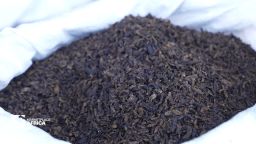 <p>As the world's appetite for meat continues to grow, farmers are under pressure to find sustainable and affordable ways to feed their livestock. Across Kenya, an increasingly popular solution lies in bugs.</p>