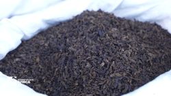 <p>As the world's appetite for meat continues to grow, farmers are under pressure to find sustainable and affordable ways to feed their livestock. Across Kenya, an increasingly popular solution lies in bugs.</p>