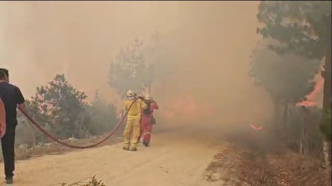 <p>Más de una decena han muerto debido a los incendios forestales en Perú, según el Ministerio de Salud. Mientras tanto, el Instituto de Defensa Civil sostiene que existen más de 2.000 hectáreas destruidas y que Cusco es la región más afectada. La institución señaló que 3.500 profesionales trabajan en el control y la extinción de los incendios.</p>