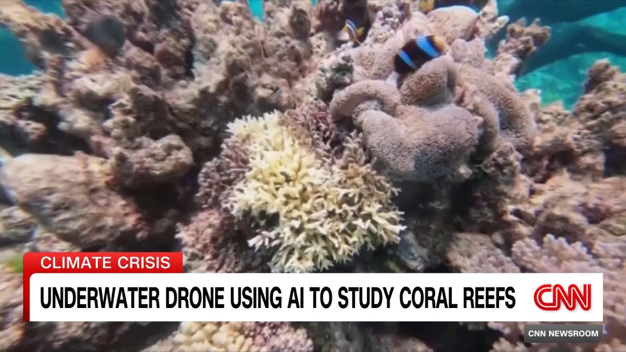 <p>Coral reefs around the world are experiencing a mass bleaching event as the climate crisis drives record-breaking ocean heat. CNN's Rosemary Church looks at how people are using technology to help.</p>