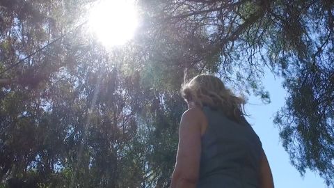 <p>Mayo es el Mes de la Concientización de la Salud Mental y, en Estados Unidos, se estima que uno de cada cinco adultos padece enfermedades mentales. Estas condiciones pueden impactar significativamente en el día a día. Bertha Ramos tiene la información en el Minuto de Salud.</p>