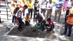 <p>Una de las semillas de maquilishuat, el árbol nacional de El Salvador, que el astronauta Frank Rubio llevó durante su misión al espacio logró germinar, informó la embajada de Estados Unidos en El Salvador.</p>