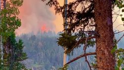 <p>Un video captado por un testigo muestra una gigantesca columna de llamas y humo negro a causa de los incendios forestales en Utah, según la agencia Reuters. El fuego ya consumió más de 4.000 hectáreas en la zona mientras siguen los trabajos para contener el foco, de acuerdo con medios locales.</p>