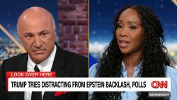 <p>"Shark Tank" investor Kevin O'Leary says the focus on Jeffrey Epstein is not what Americans care about. He says families are focused on the economy and jobs, and whether or not they feel things have improved under President Donald Trump's second term.</p>