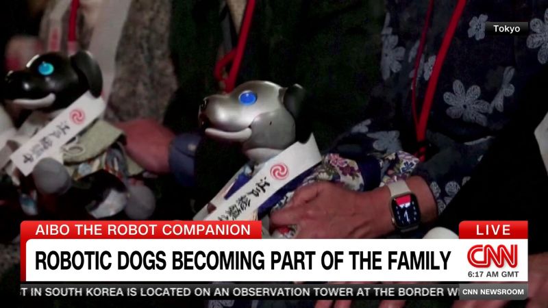 Japanese company makes robotic dogs
