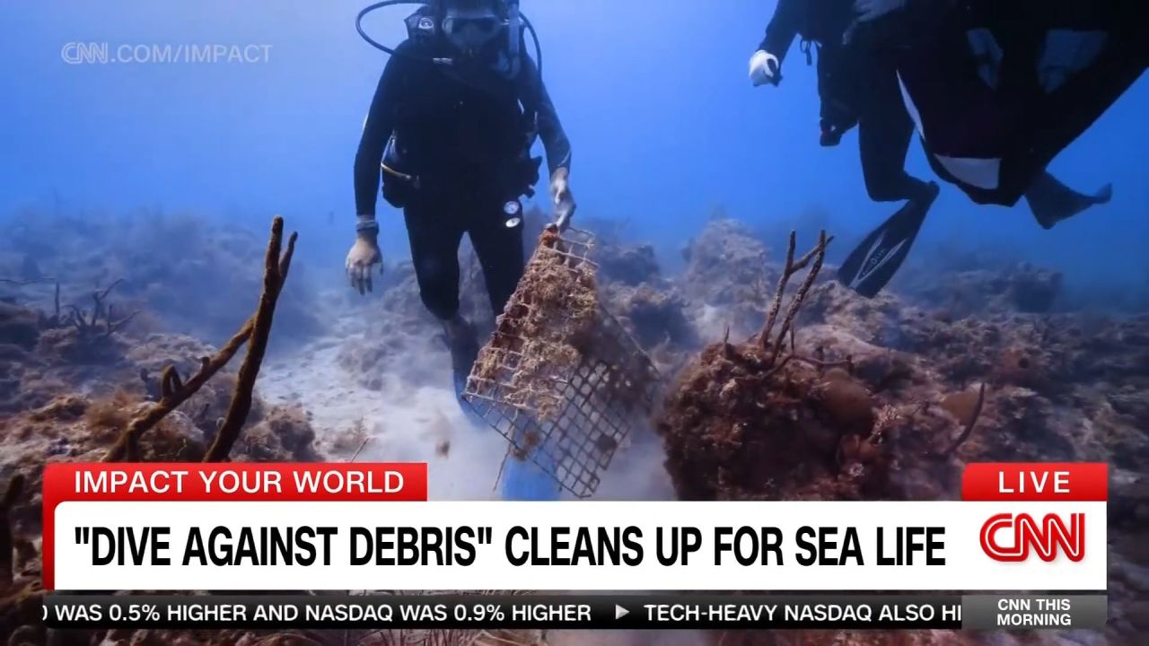 <p>The nonprofit PADI Aware has removed millions of pieces of trash from the ocean with their 'Dive Against Debris' program. </p>