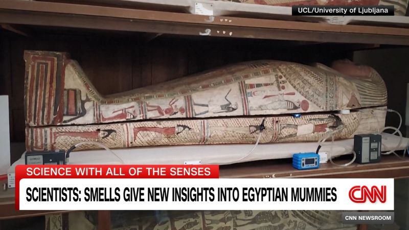 Scientists use scent to discover new insights into mummies