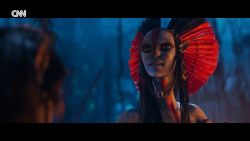 <p>The third film in James Cameron's franchise arrives in theaters this week. Rick Damigella reports.</p>