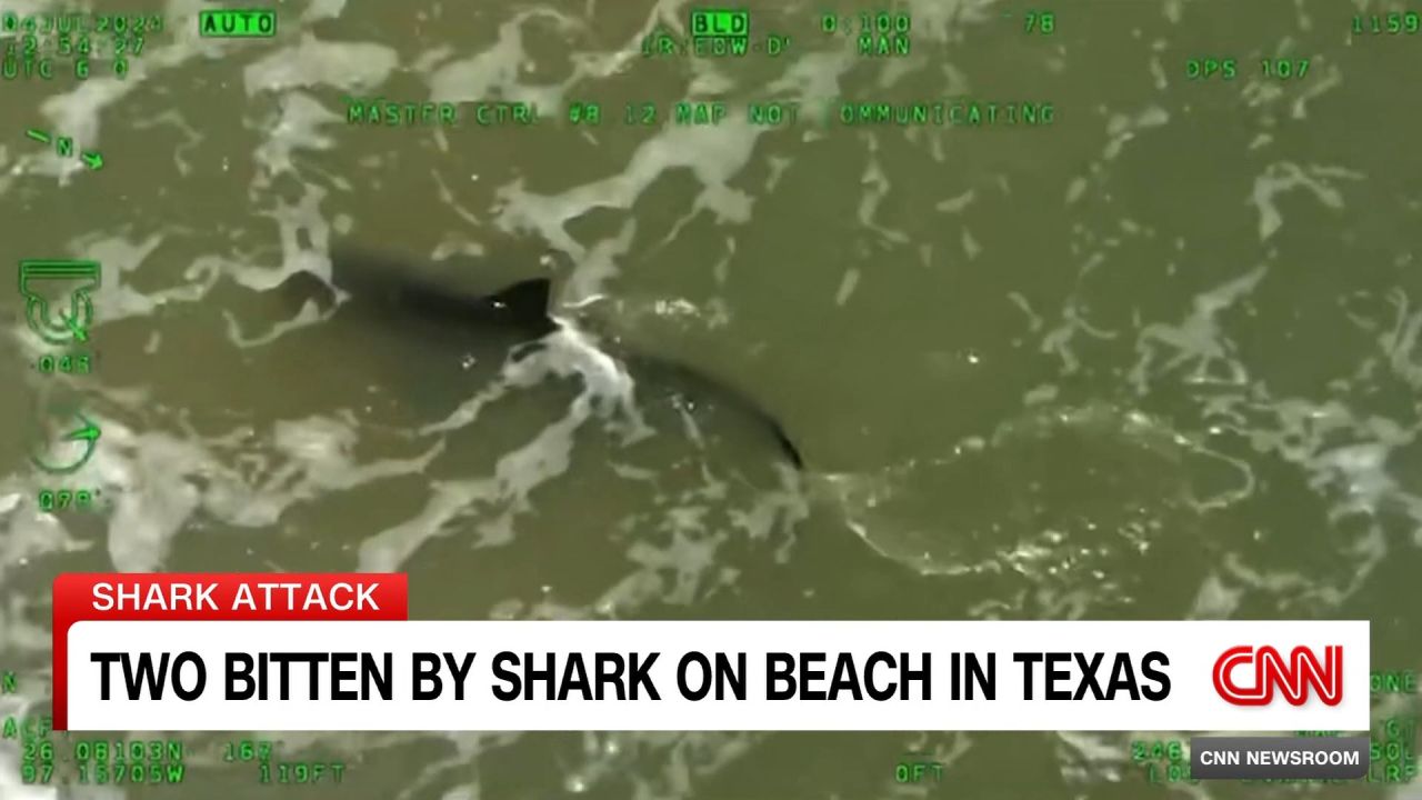 <p>Two beachgoers suffer shark bites on Texas' South Padre Island</p>