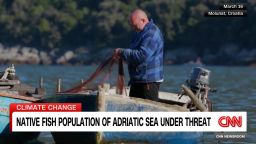 <p>Ocean temperatures are rising in the Mediterranean, and researchers say that may lead to a rise of invasive species entering the Adriatic waters, CNN's Barbie Latza Nadeau reports.</p><p><br /></p>