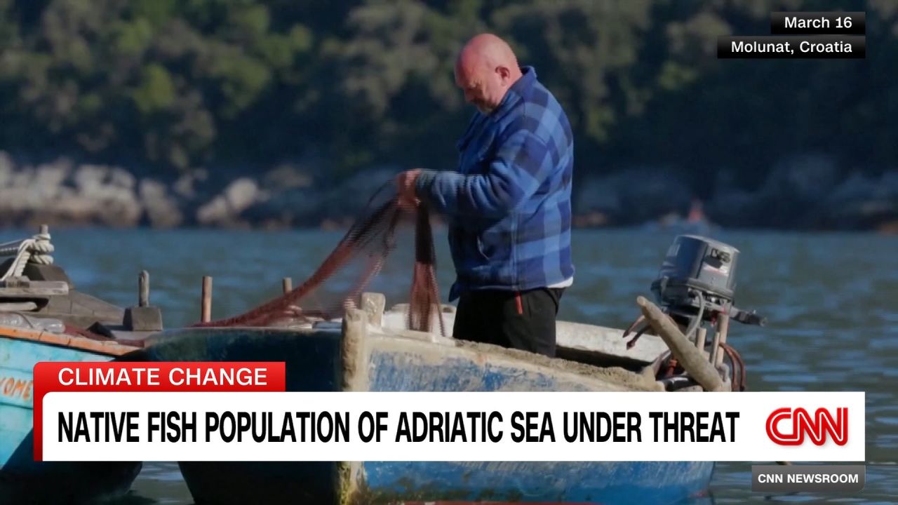 <p>Ocean temperatures are rising in the Mediterranean, and researchers say that may lead to a rise of invasive species entering the Adriatic waters, CNN's Barbie Latza Nadeau reports.</p><p><br /></p>