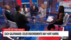 <p>The stars came out this week at the Democratic National Convention. But according to Hangover star Zach Galifianakis, celebrities endorsements can be hurting Democrats in rural America. The panel debates.</p>