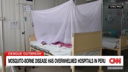 <p>More than 5.2 million cases of dengue fever have been reported across the Americas. CNN's Gustavo Valdes reports infections have already set a record for this year.</p>