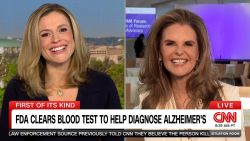 clipped thumbnail -  - CNN ID 21635161 - 00:00:33;02